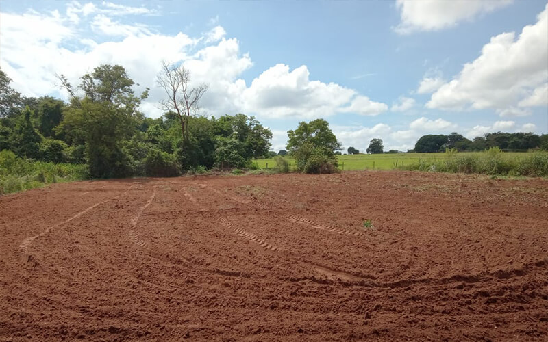 Agricultura